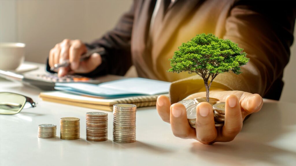 como funciona os investimentos