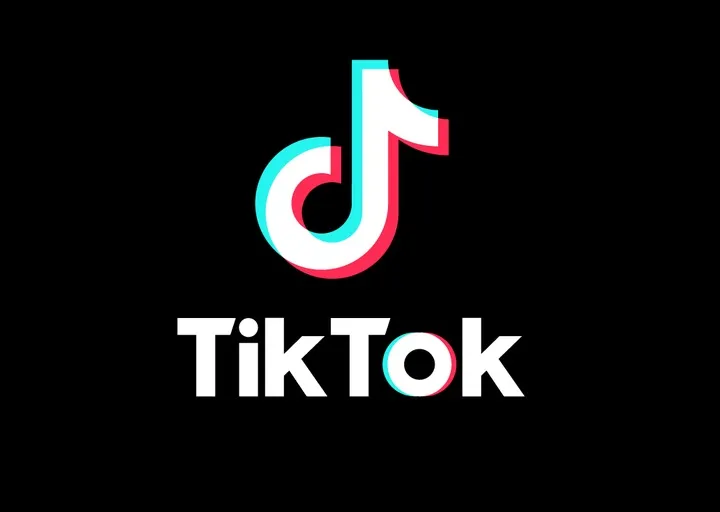 Confiar apenas no TikTok Creator Fund